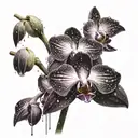 a black and deep purple accented orchid with a storm and rain drops falling off the flower tattoo design idea
