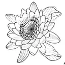 Fine line black and white drawing that incorporates the following flowers: Snow drop Waterlily Hawthorn  And centers aro tattoo design idea
