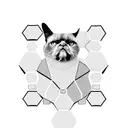 hexagons containing a button, bandana, grumpy cat, chocolate lab, and cartoon cat in each tattoo design idea