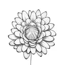  gerberas celia tattoo design idea