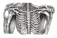 Rib cage tattoo tattoo design idea