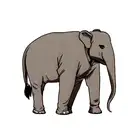 Elephant tattoo design idea