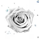 Rose flower, BTS love yourself album art and gemini tattoo design idea