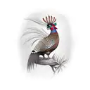 pheasant tattoo design idea