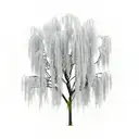 Willow tree  tattoo design idea