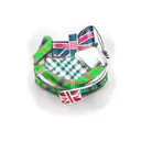 Box containing 'Cameron' surrounded by tartan, with sprigs of Heather and a scottish flag tattoo design idea