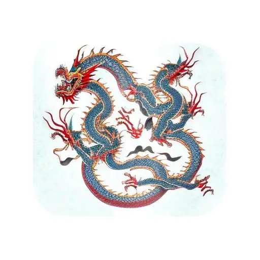 two chinese dragons showing balance tattoo design idea