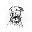 A pitbull with a collar adorned with musical notes tattoo design idea