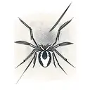 spider web for knee tattoo design idea