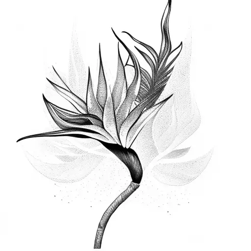 Bird of Paradise tattoo design idea
