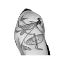 a dragonfly tattoo tattoo design idea