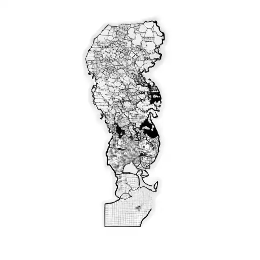 a black and grey design of a map of east asia with a DC-2 plane flying over it tattoo design idea