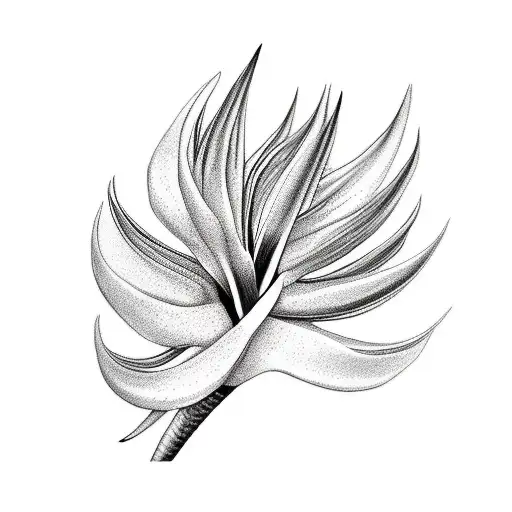 Bird of Paradise tattoo design idea