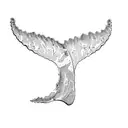 a whale tail tattoo design idea