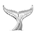 a whale tail tattoo design idea