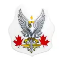 Left Half Polish White Eagle morphed with Right half Red Canadian Maple leaf tattoo design idea