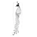 Peacock tattoo design idea