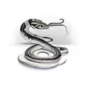 snake on dagger  tattoo design idea