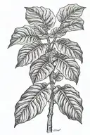 fiddle fig plant tattoo design idea