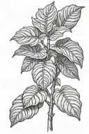 fiddle fig plant tattoo design idea