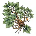 Japanese money tree spider plan aloe Hoya carnosa plant tattoo design idea