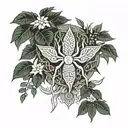 Japanese money tree spider plan aloe Hoya carnosa plant tattoo design idea
