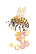 honeybee with honeycomb pattern with molecular structures tattoo design idea