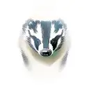 badger on a bike tattoo design idea