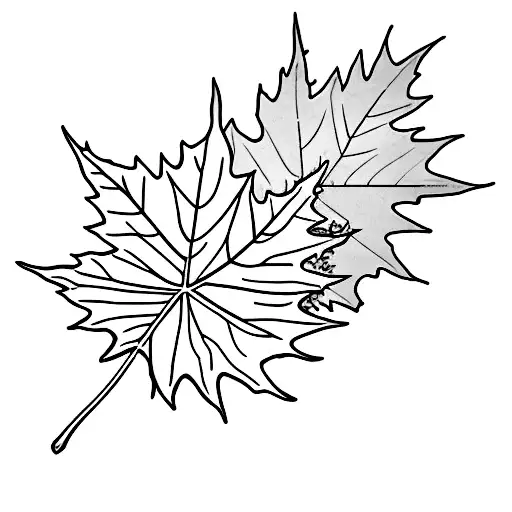 Maple Leaf tattoo design idea