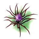 spider lilly  tattoo design idea