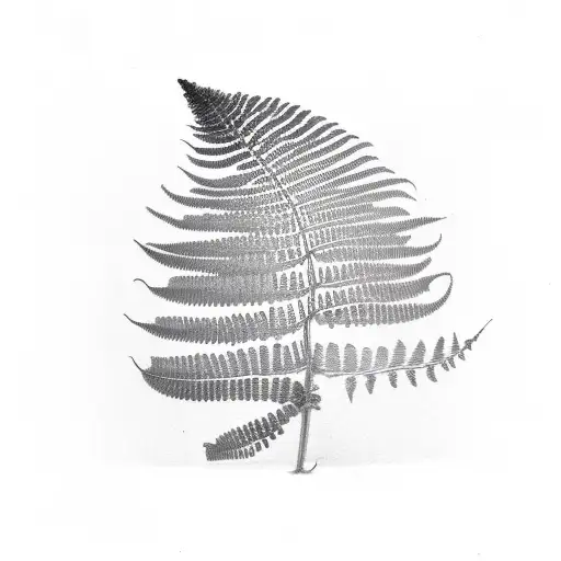 Fern Tree tattoo design idea