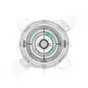 Live Oak compass globe tattoo design idea