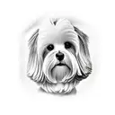 coton de tulear tattoo design idea