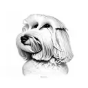 coton de tulear tattoo design idea