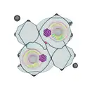 honeycomb, puzzle, black Hole, Sakura, moon, sun, Forrest, paradox, equilibrium, waves, book, music, geisha  tattoo design idea