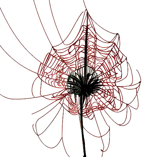 Spider Lily tattoo design idea