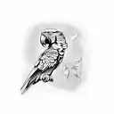 scarlet macaw tattoo design idea