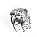 scarlet macaw tattoo design idea