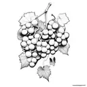 grapes tattoo design idea