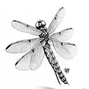 Dragonfly tattoo design idea