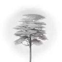 Hemlock Tree tattoo design idea