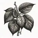 fig tree Sagittarius 06:57 tattoo design idea