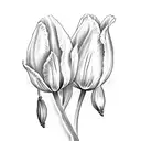 two tulips to the left of song of solomon 4:7 in a pretty cursive  tattoo design idea