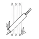 cricket bat and ball tattoo design idea