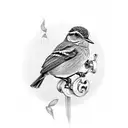 music into birds wrens tattoo design idea