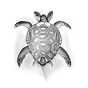 aggressive turtle tattoo design idea
