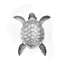 aggressive turtle tattoo design idea