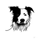 border collie tattoo design idea