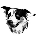 border collie tattoo design idea