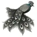 LEEDS UNITED PEACOCK tattoo design idea